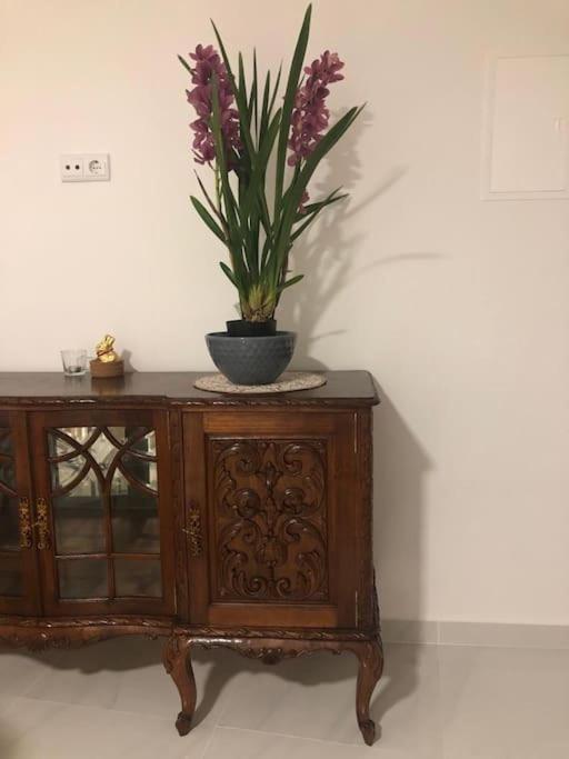 Casa Bossa Nova Daire Fundão Dış mekan fotoğraf